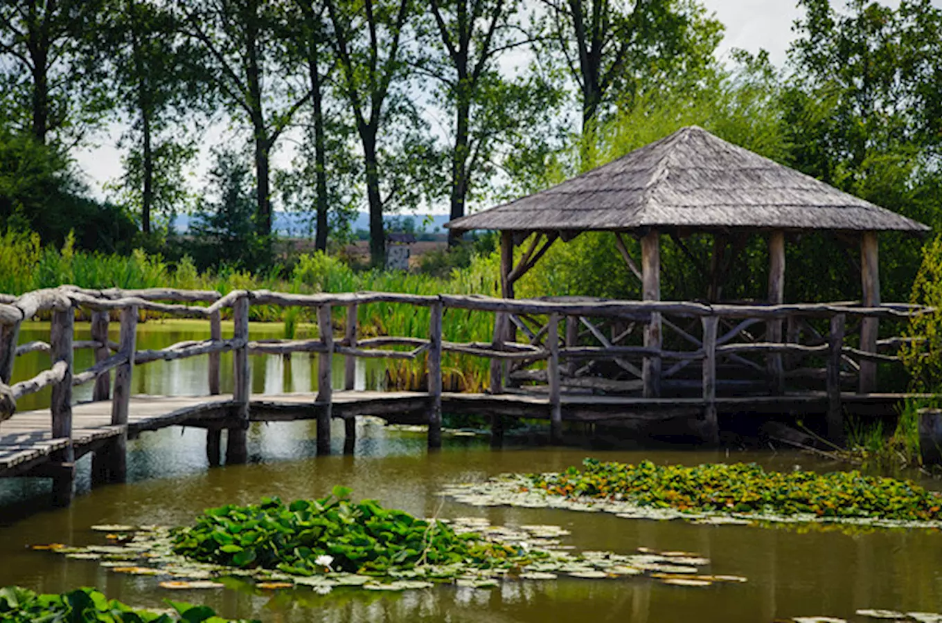Biocentrum Mokroš